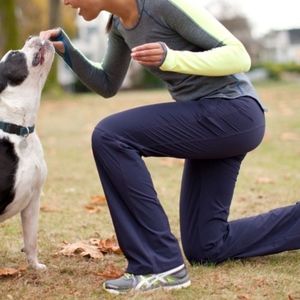 Lululemon Dog Runner lined track pants